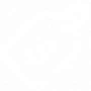 PrincessRadiants_Precio